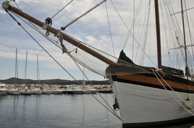Cliquer pour voir l'image en taille réelle