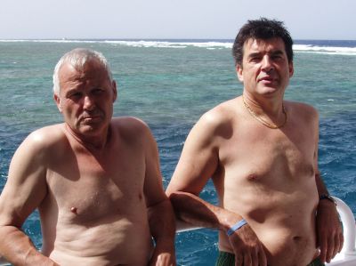 Cliquer pour voir l'image en taille réelle