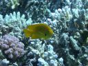 DSCN5051.jpg