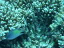DSCN5056.jpg