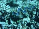DSCN5059.jpg