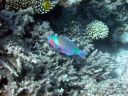 DSCN5068.jpg