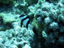 DSCN5074.jpg