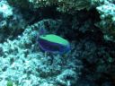 DSCN5077.jpg
