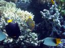 DSCN5091.jpg