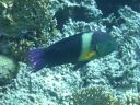 DSCN5097.jpg