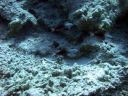 DSCN5098.jpg