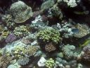 DSCN5312.jpg