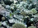 DSCN5316.jpg