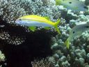 DSCN5319.jpg
