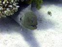 DSCN5358.jpg