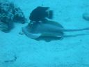 DSCN5393.jpg