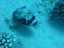 DSCN5410.jpg