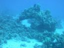 DSCN5415.jpg