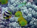 DSCN5436.jpg