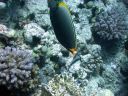 DSCN5442.jpg