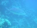 DSCN5443.jpg
