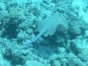 DSCN5469.jpg