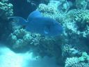 DSCN5508.jpg