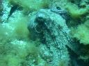 DSCN5645.JPG