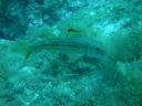 DSCN5647.JPG