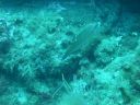 DSCN5649.JPG