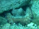 DSCN5679.JPG