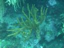 DSCN5688.JPG