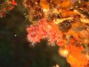 DSCN5707.JPG