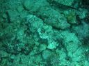 DSCN5758.JPG