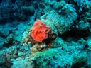 El_Nabaa_16_au_23-10-4_284829.JPG