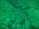 P5290007.jpg