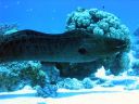 hurghada_2004_037.jpg
