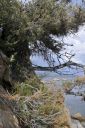 orig__DSC5687.JPG